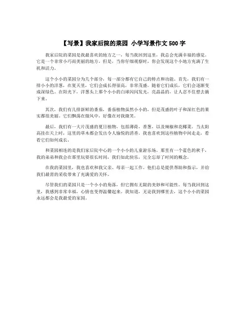 【写景】我家后院的菜园 小学写景作文500字