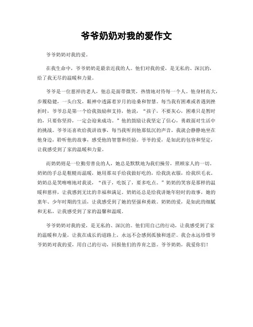 爷爷奶奶对我的爱作文