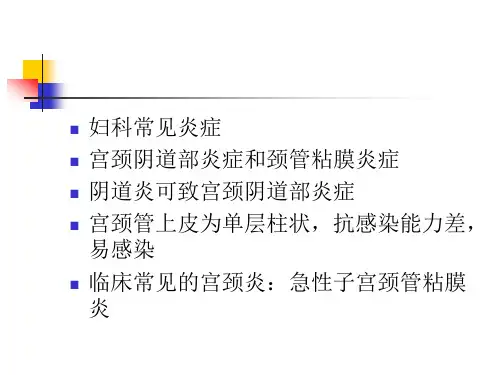 宫颈炎症PPT课件