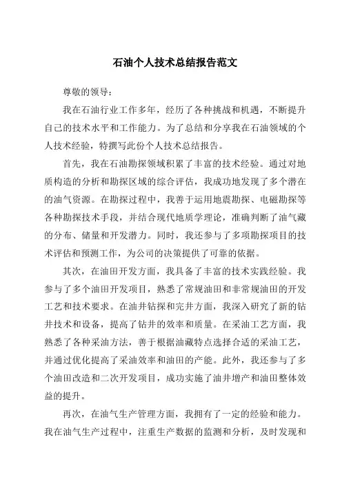 石油个人技术总结报告范文