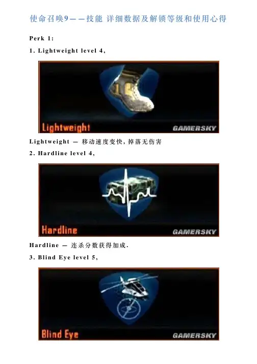 使命召唤9——技能详细数据跟解锁等级跟使用心得