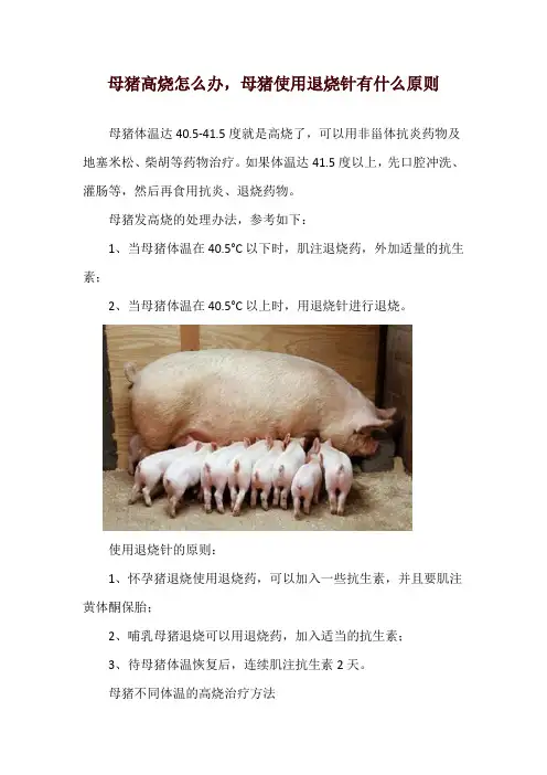 母猪高烧怎么办,母猪使用退烧针有什么原则