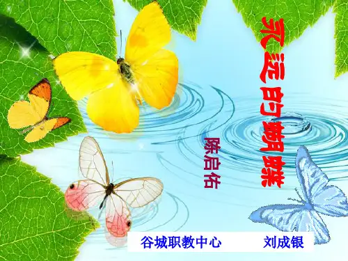 永远的蝴蝶》PPT课件