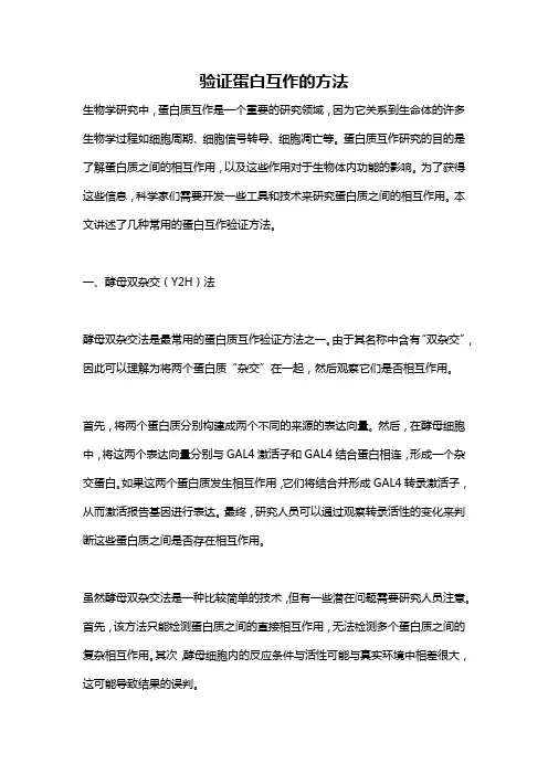 验证蛋白互作的方法