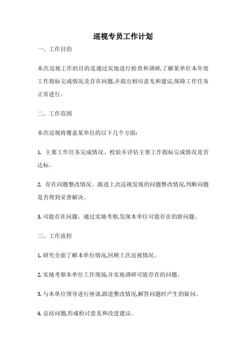 巡视专员工作计划