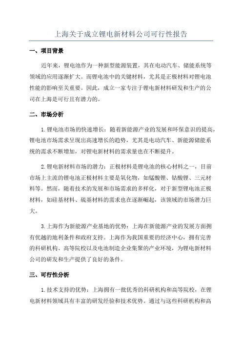 上海关于成立锂电新材料公司可行性报告