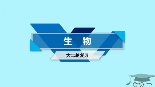 2020届高考生物大二轮复习 专题十四 实验与探究复习指导课件