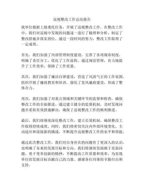 巡视整改工作总结报告