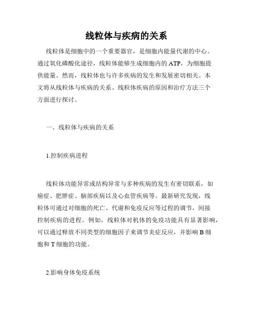 线粒体与疾病的关系