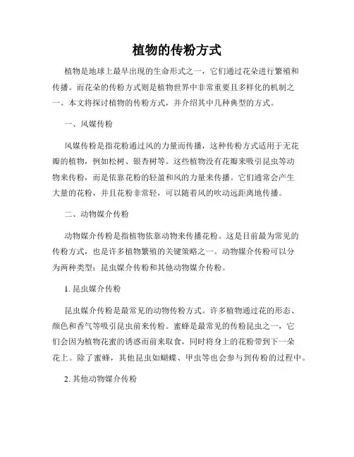 植物的传粉方式