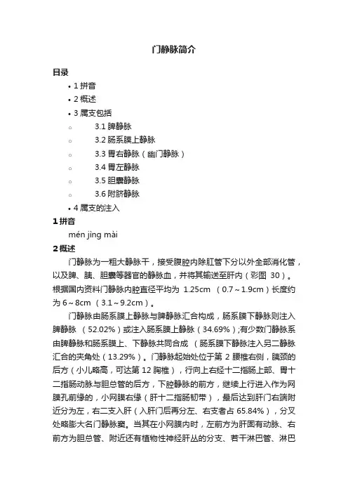 门静脉简介