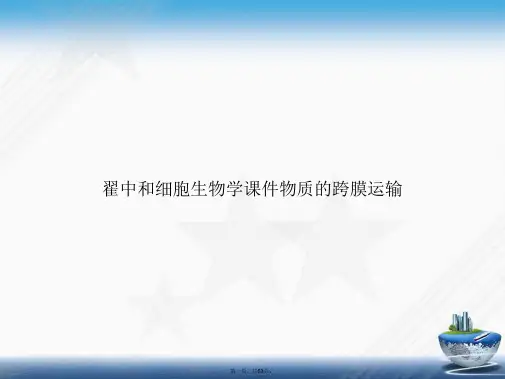 翟中和细胞生物学物质的跨膜运输2讲课文档