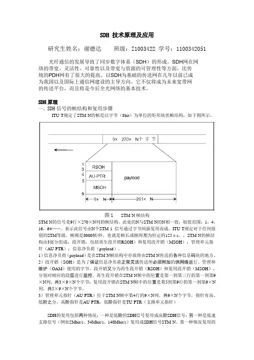 SDH技术原理及应用