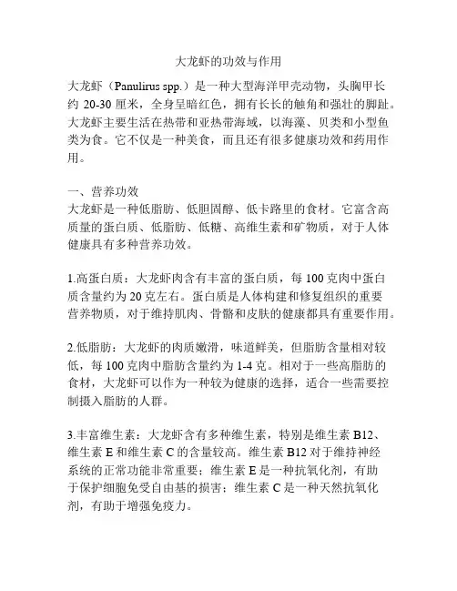 大龙虾的功效与作用
