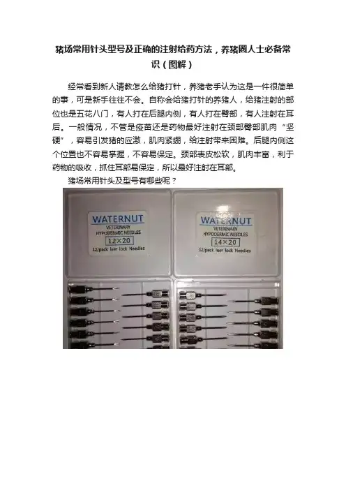 猪场常用针头型号及正确的注射给药方法，养猪圈人士必备常识（图解）