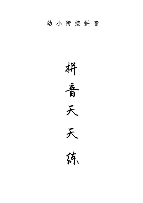 幼小衔接拼音天天练