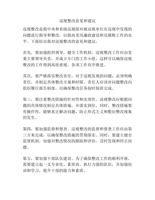 巡视整改意见和建议
