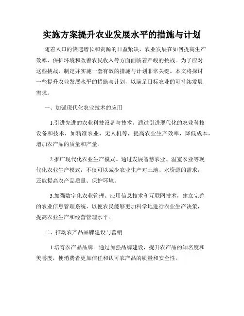 实施方案提升农业发展水平的措施与计划