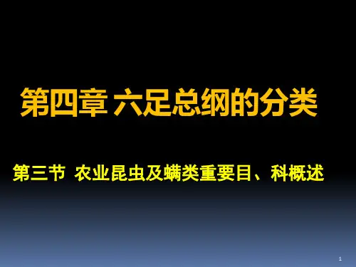 农业昆虫及螨类重要科目概述