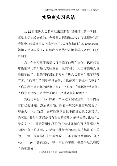 实验室实习总结doc