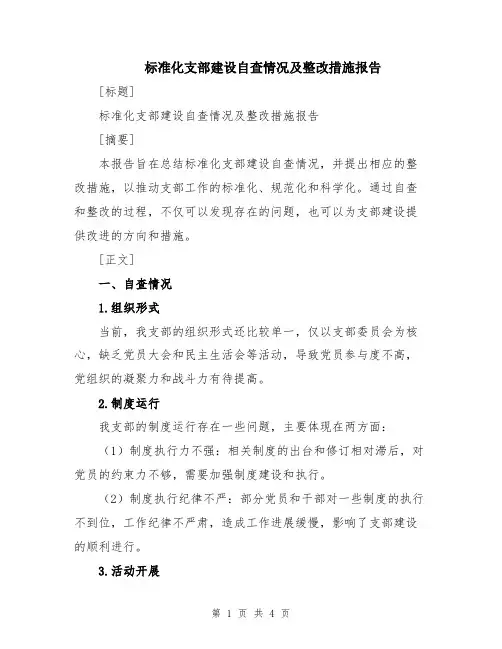 标准化支部建设自查情况及整改措施报告