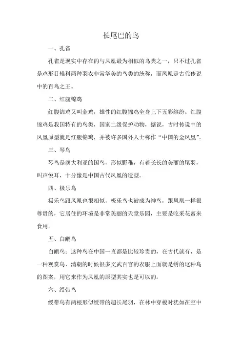 长尾巴的鸟