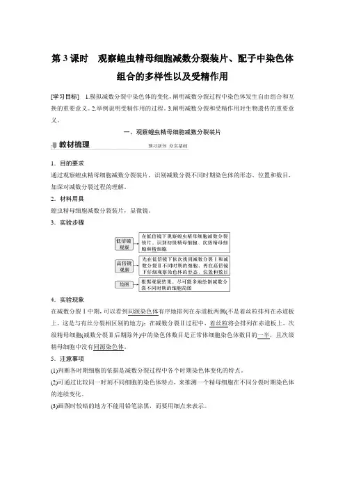 观察蝗虫精母细胞减数分裂装片、配子中染色体组合的多样性以及受精作用