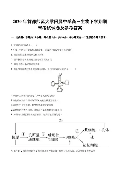 2020年首都师范大学附属中学高三生物下学期期末考试试卷及参考答案