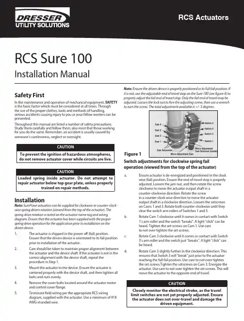 RCS Sure 100安装手册说明书