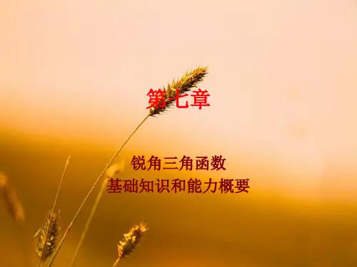 锐角三角函数PPT教学课件
