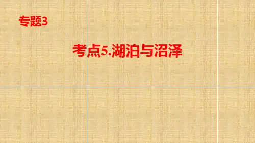 高考地理专题复习-考点5.湖泊与沼泽(共19张PPT)