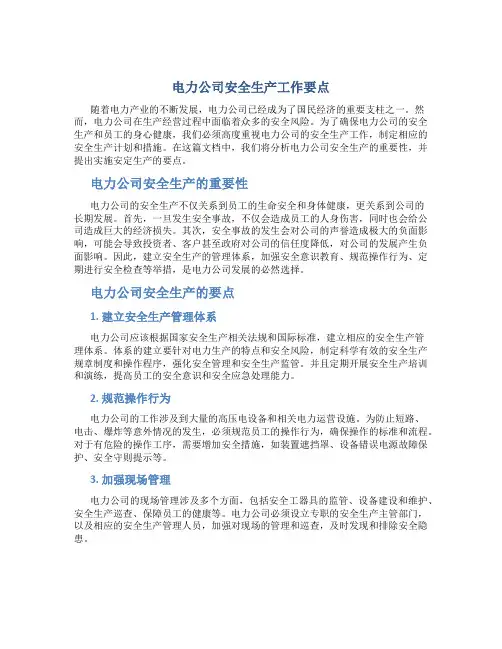 电力公司安全生产工作要点