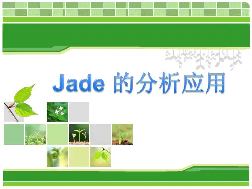 Jade的分析应用使用详细教程课件