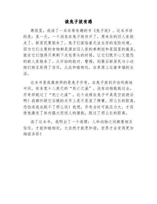 读兔子坡有感