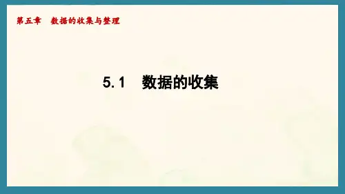 5.1 数据的收集(课件)沪科版(2024)数学七年级上册
