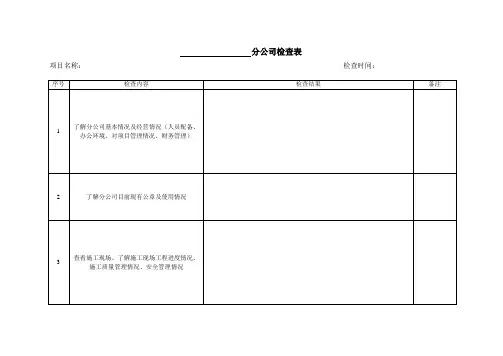 分公司检查表
