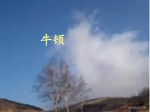 第一学期19、牛顿在暴风雨中
