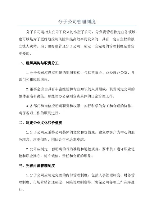 分子公司管理制度