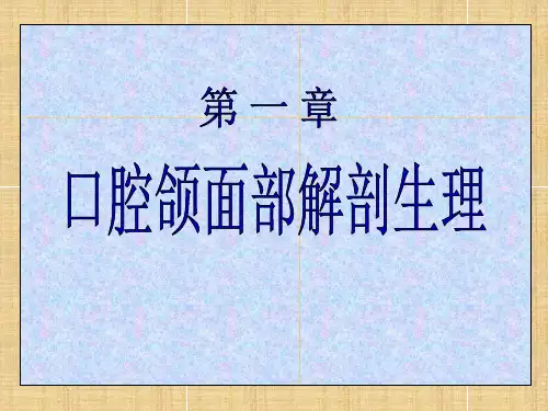 口腔科学图谱(解剖生理)-精品医学课件