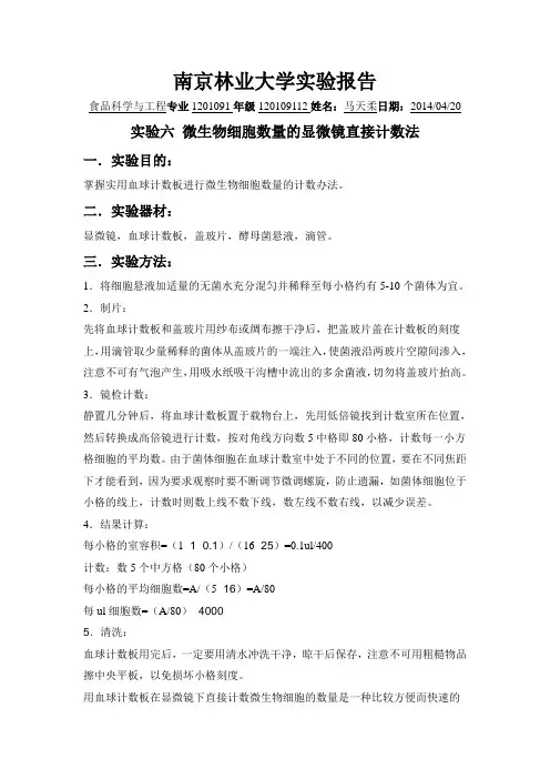 微生物细胞数量的显微镜直接计数法