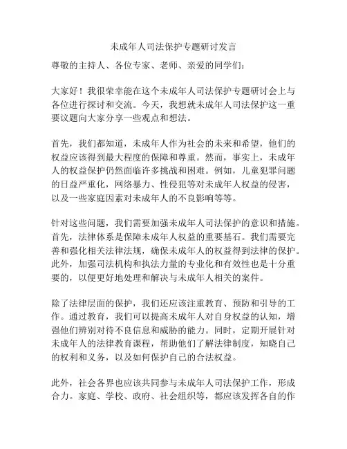 未成年人司法保护专题研讨发言