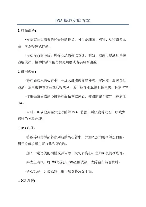DNA提取实验方案
