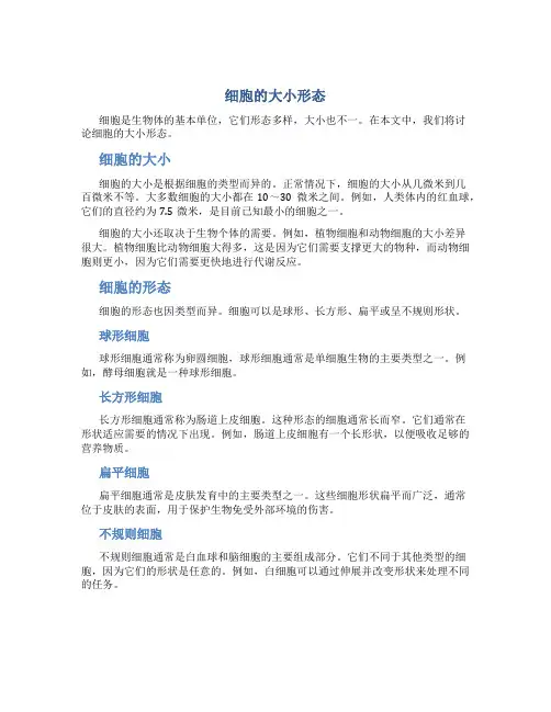 细胞的大小形态 生物必修一