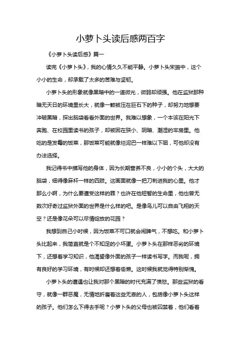小萝卜头读后感两百字