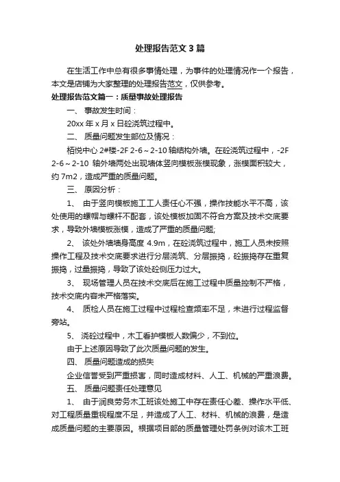 处理报告范文3篇