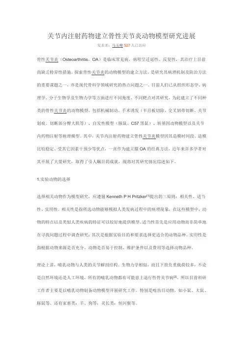 关节内注射药物建立骨性关节炎动物模型研究进展