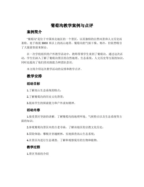 《葡萄沟》教学案例与点评