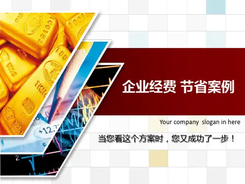 降低成本方案ppt课件