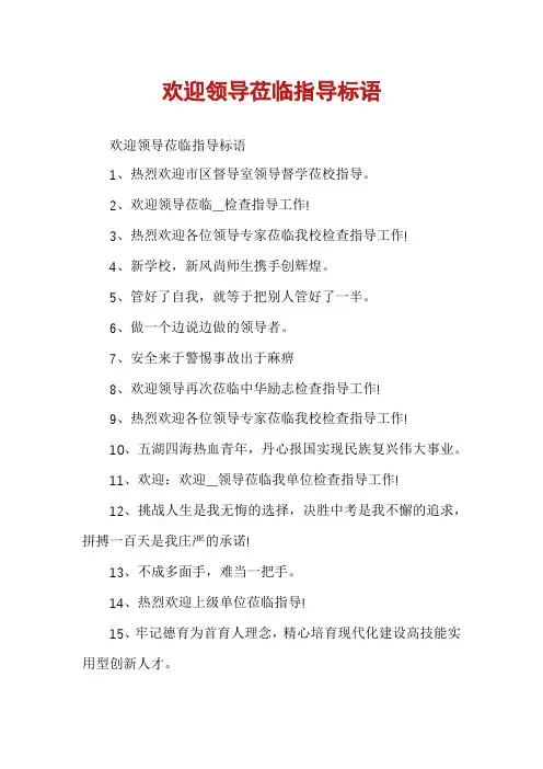 欢迎领导莅临指导标语