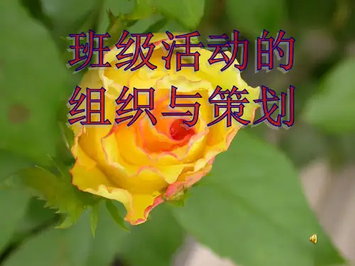 小学班主任班级活动的组织与策划PPT课件